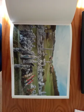 Jordi Bernadó: Europa