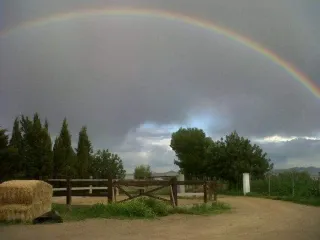 Nave ganadera con silo y boxes.2400 m.Terreno