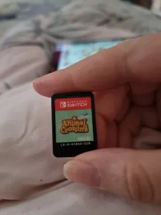 Animal Crossing New Horizons Switch