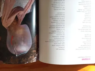 Moda que une, moda que separa. Moda que esclaviza,