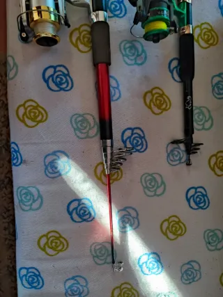 Caña de pesca con carrete lote de dos cañas