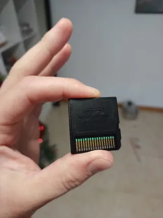 Pokémon Oro HeartGold Nintendo DS