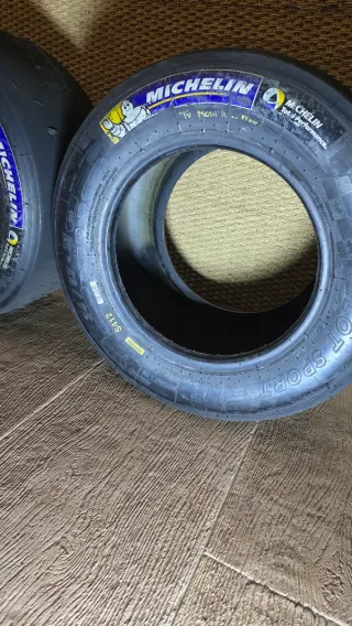 Neumáticos World Series by Renault 2014