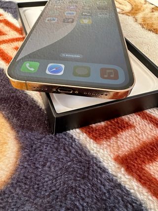 iPhone 12 Pro Max Dorado