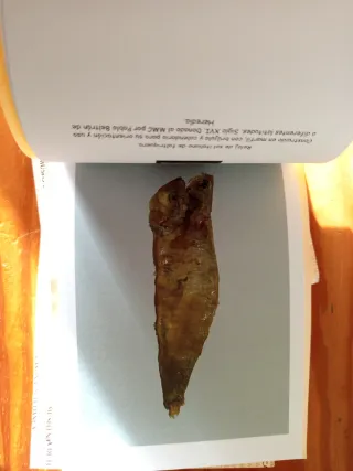 Colección Tarjetones Museos Cantabria