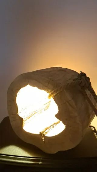 Lampada di design in legno e corda, pezzo unico