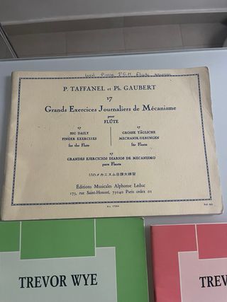 Lote libros flauta travesera conservatorio