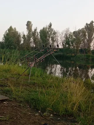 Equipo Carpfishing Completo