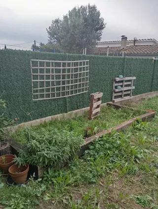 Maderas para delimitar jardín