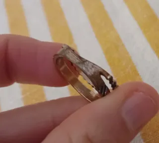 Anello doppio motivo