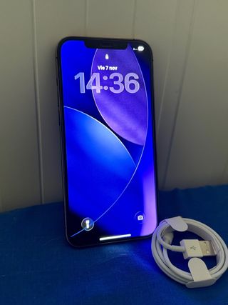 iPhone 12 PRO MAX 256GB