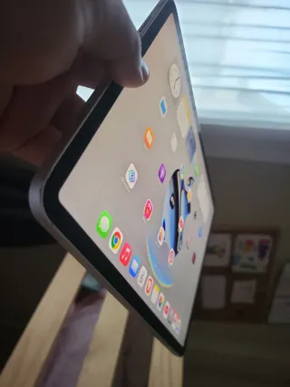 iPad Pro M1 Plata con Caja