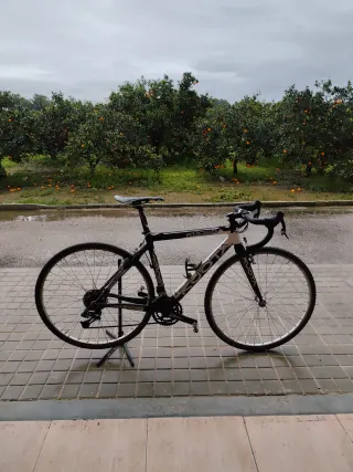 Bicicleta Ciclocross Kuota Kross