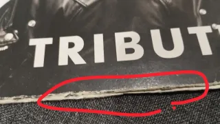 Lote Vinilos The Pasadenas