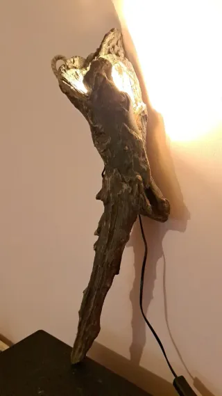 Lampada da parete in legno grezzo ricercato