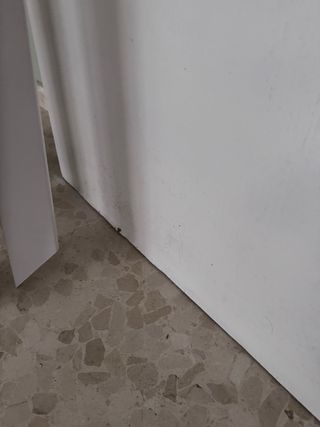 Puertas blancas con cristal