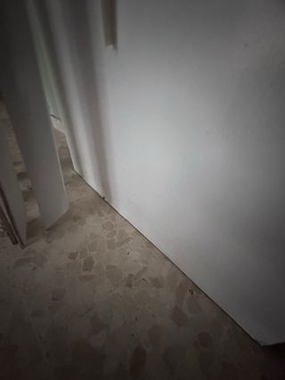 Puertas blancas con cristal