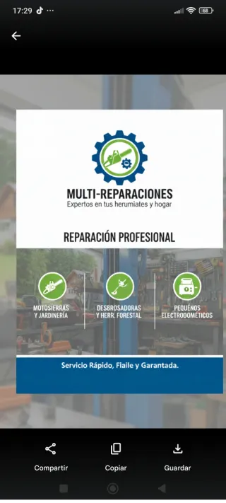 Reparación de motosierras y desbrozadoras,