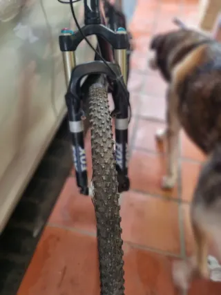 Bicicleta MTB Specialized Stumpjumper talla 18