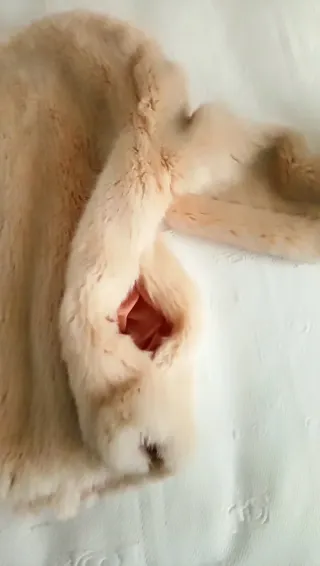 Bershka Chaquetón Pelo Beige