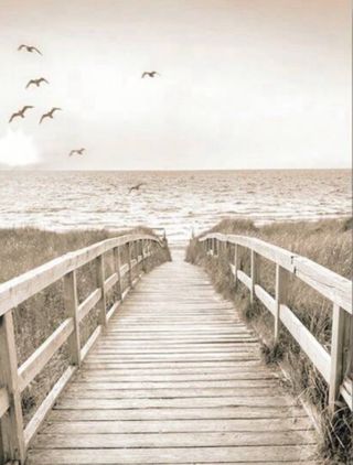 Set 3 Cuadros Decorativos Beige y Marrón