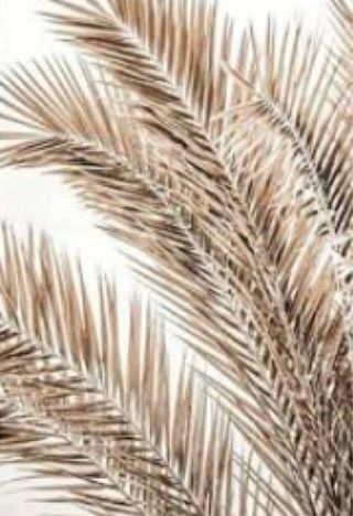 Set 3 Cuadros Decorativos Beige y Marrón