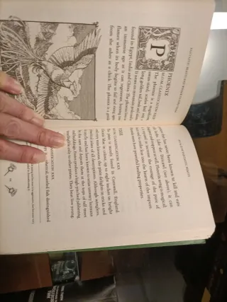 Fantastic Beasts and Where To Find Them. En inglés