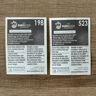 Figurina Calciatori Panini Euro 2008 Croazia