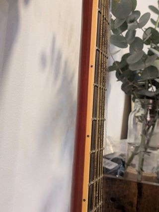 Chitarra elettroacustica Academy