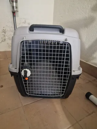 Trasnportin perro grande
