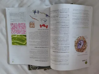 Biología y Geología 4