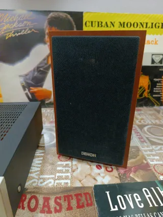 Amplificador Technics y Altavoces Denon