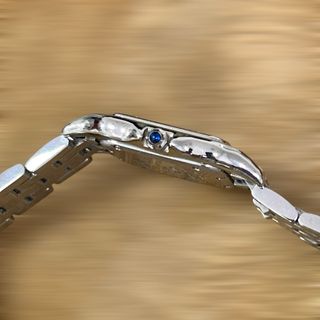 Cartier Panthère Medium.