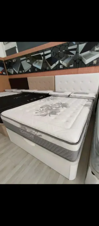 Canape canapé canapé canapé canapé canapé canapé