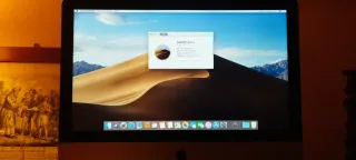 iMac 21.5 (Late 2013) Plata