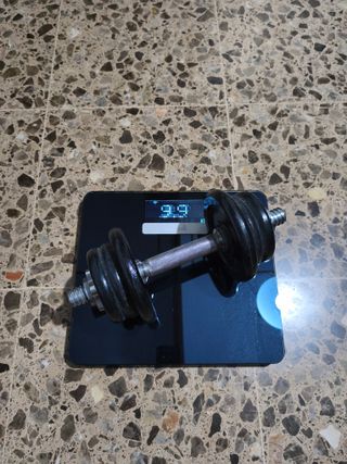 Báscula Garmin Index