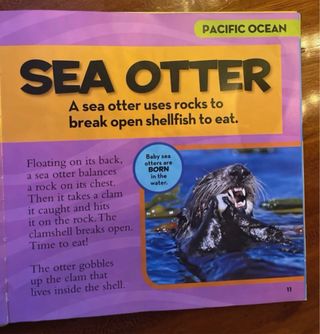 National Geographic Little Kids Book of the Ocean