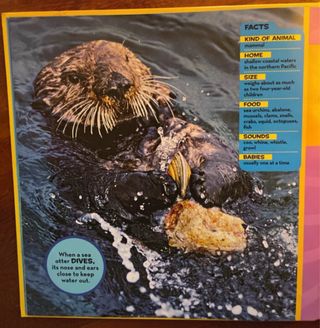 National Geographic Little Kids Book of the Ocean