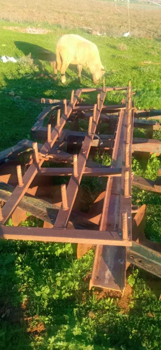 Cultivador 9 brazos con rastra