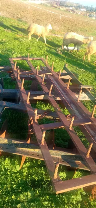 Cultivador 9 brazos con rastra