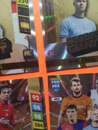 LOTE NORDIC EDITION FIFA 365 2025 ADRENALYN 24-25