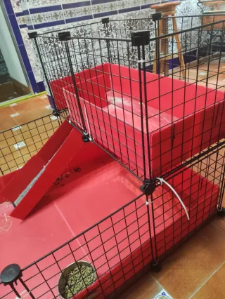 2 Jaulas para Cobaya/Conejo