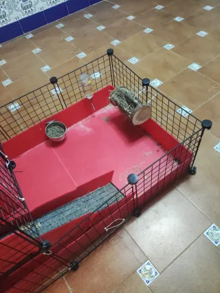 2 Jaulas para Cobaya/Conejo