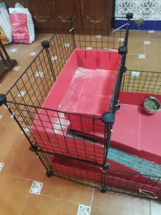 2 Jaulas para Cobaya/Conejo