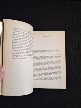 Giorgio Manganelli. Centuria