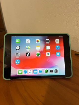 iPad mini 3