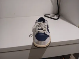 Nike Dunk Azul y Gris una lavadora y como nuevas