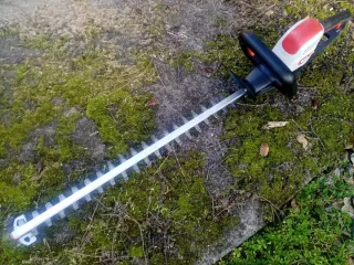 Cortasetos Eléctrico