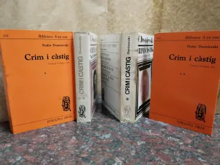 Crim i càstig