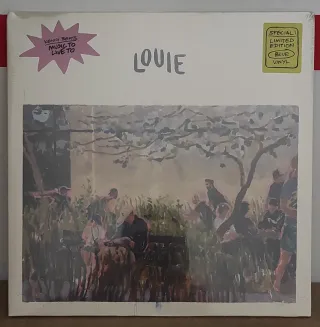 LOTE HIP-HOP EN VINILO 4